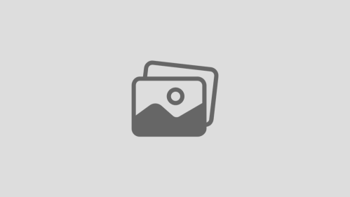 Vue - The Complete Guide (incl. Router & Composition API)